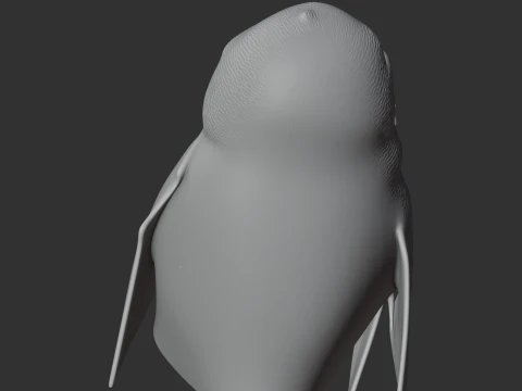 Andaman scops owl 3D Model