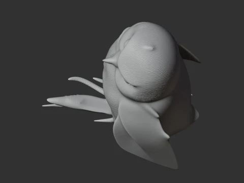Andaman scops owl 3D Model