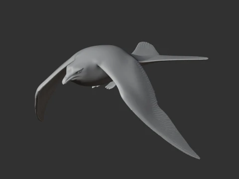 Arctic Skua 3D Model