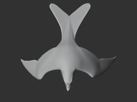 Arctic Skua 3D Model