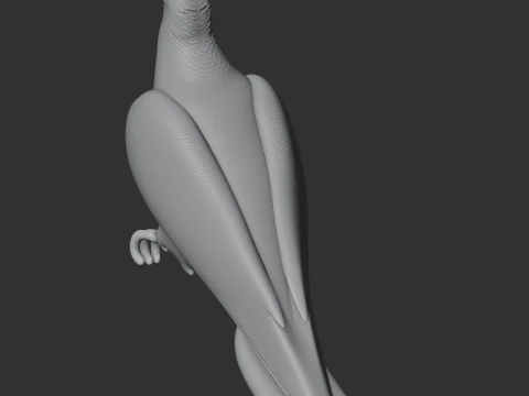 Ashy wood pigeon 3D Model