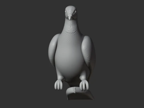 Ashy wood pigeon 3D Model