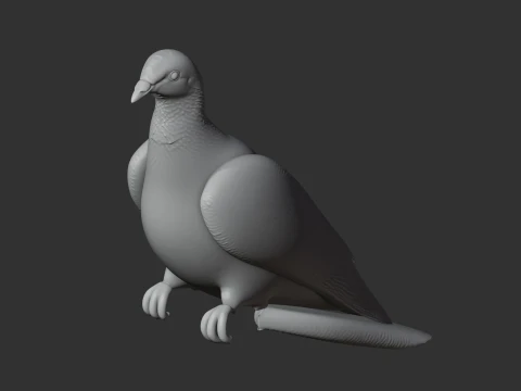 Ashy wood pigeon 3D Model