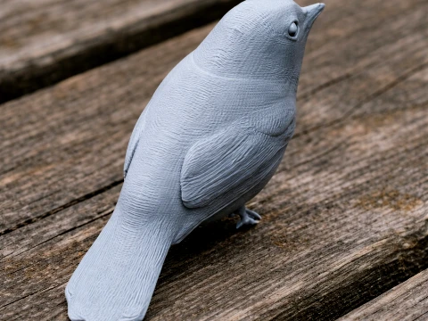 Ashy-breasted flycatcher 3D Model