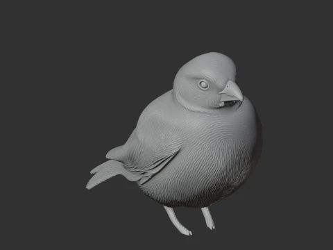 Ashy-crowned sparrow-lark 3D Model