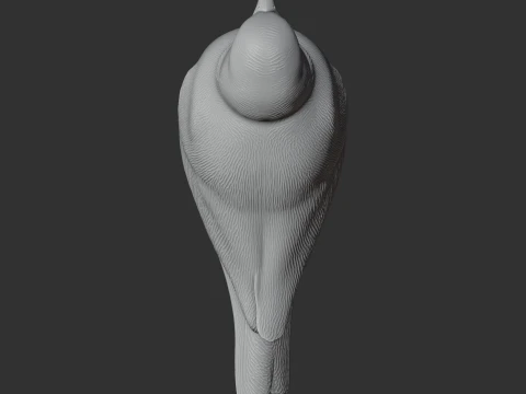 Ashy-crowned sparrow-lark 3D Model