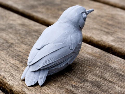 Ashy-headed babbler 3D Model