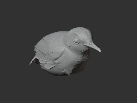 Ashy-headed babbler 3D Model