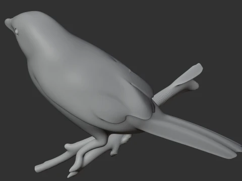 Ashy-headed laughingthrush 3D Model