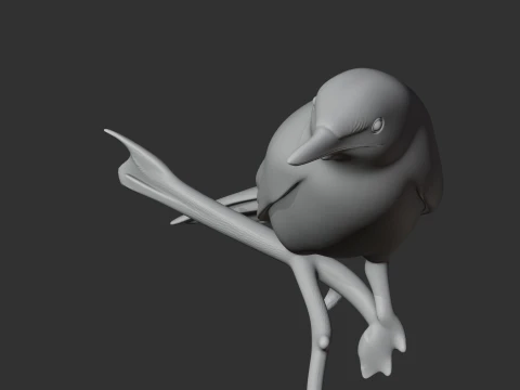 Ashy-headed laughingthrush 3D Model