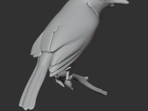 Ashy-headed laughingthrush 3D Model