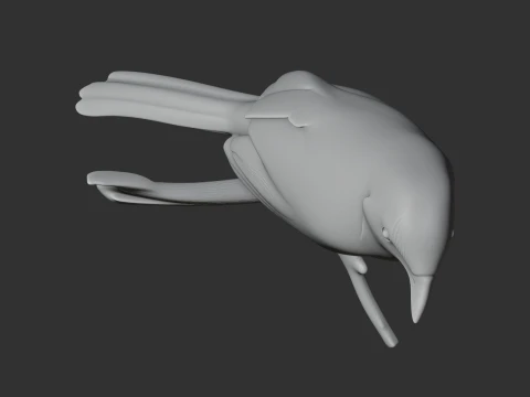 Ashy-headed laughingthrush 3D Model