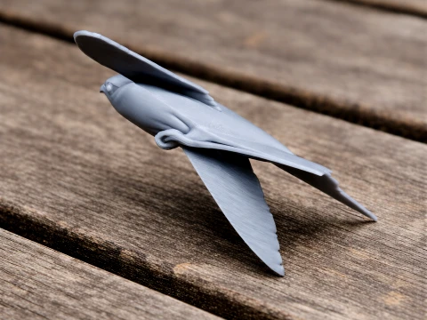 Ashy-tailed swift 3Dモデル