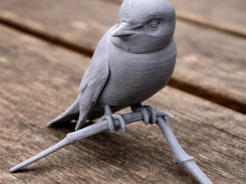 Asian brown flycatcher Modèle 3D