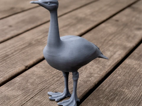Asian houbara 3D Model