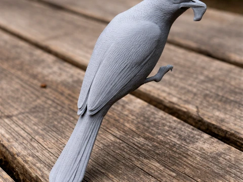 Asian red-eyed bulbul 3D Model