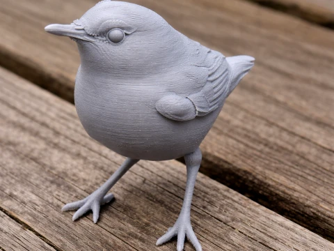 Asian stubtail 3Dモデル