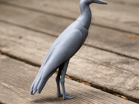 Asian woolly-necked stork 3D Model