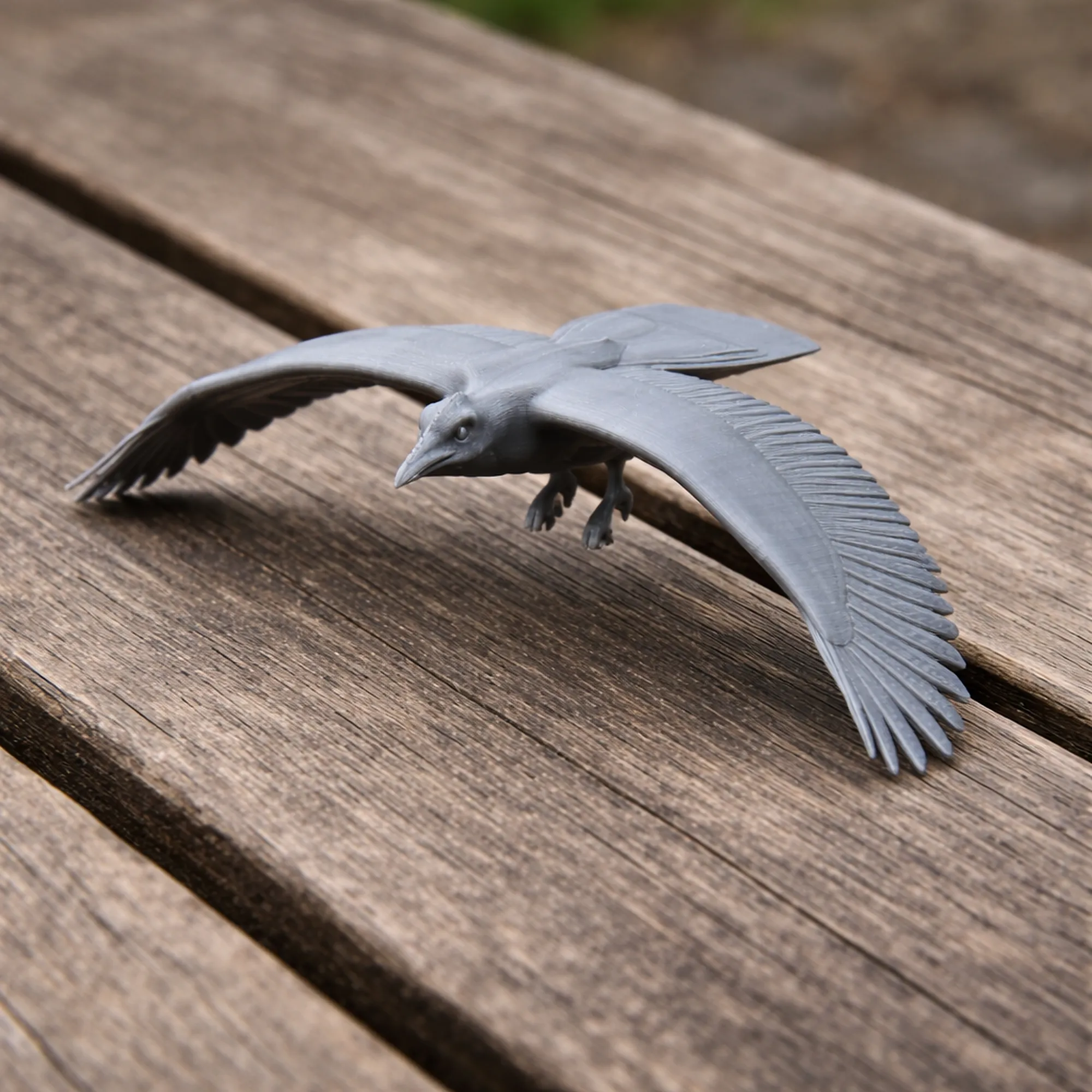 Asir magpie 3D Model .c4d .max .obj .3ds .fbx .stl .blend 