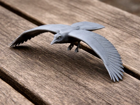 Asir magpie Modèle 3D