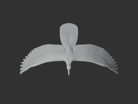 Asir magpie 3D Model