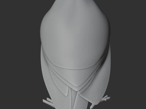 Atuen antpitta 3D Model
