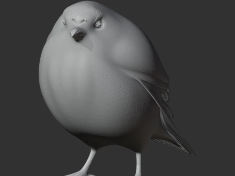 Atuen antpitta 3D Model