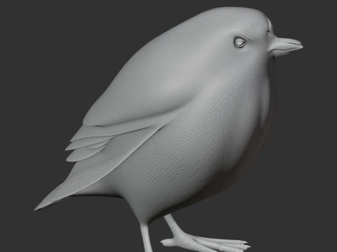 Atuen antpitta 3D Model