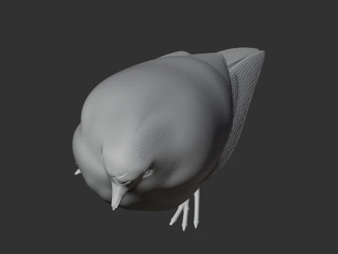 Atuen antpitta 3D Model