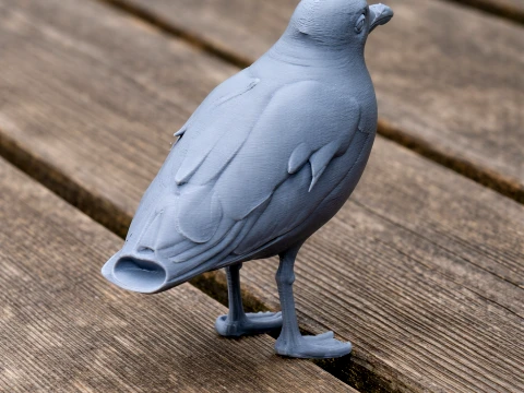 Audouins gull 3Dモデル