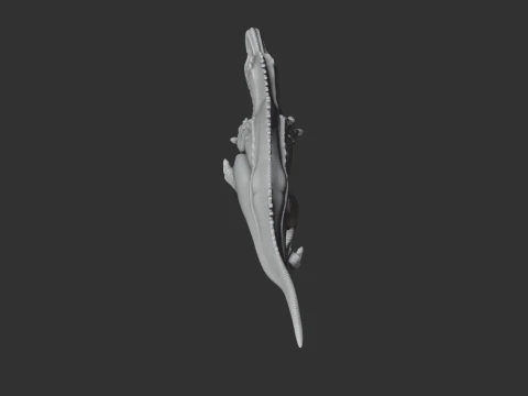 Acrocanthosaurus 3D Model