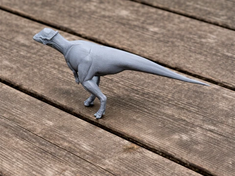 Acrotholus 3D Model