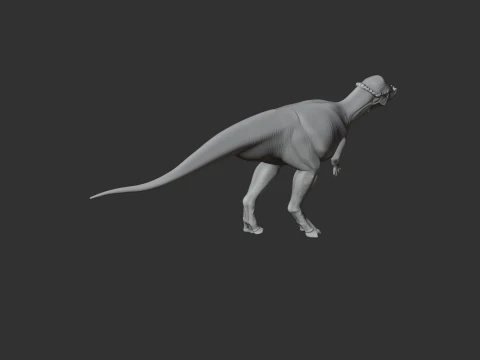 Acrotholus 3D Model