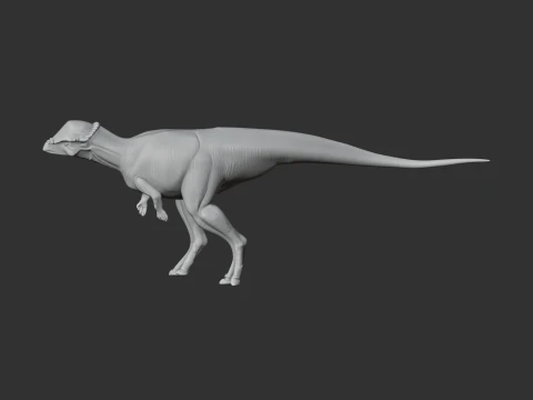 Acrotholus 3D Model