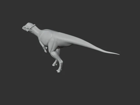 Acrotholus 3D Model