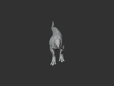 Acrotholus 3D Model