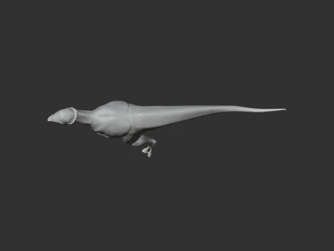 Acrotholus 3D Model