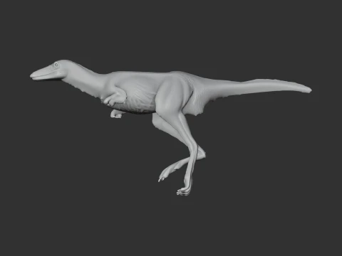 Albertonykus 3D Model