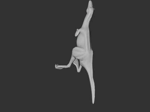 Albertonykus 3D Model