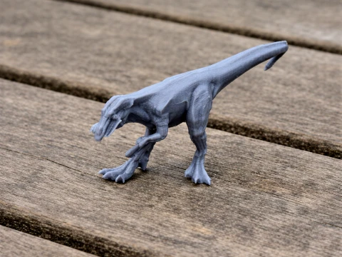 Aliwalia 3Dモデル