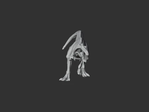 Aliwalia 3D Model