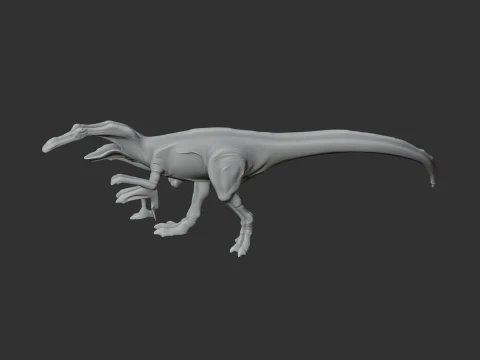 Aliwalia 3D Model