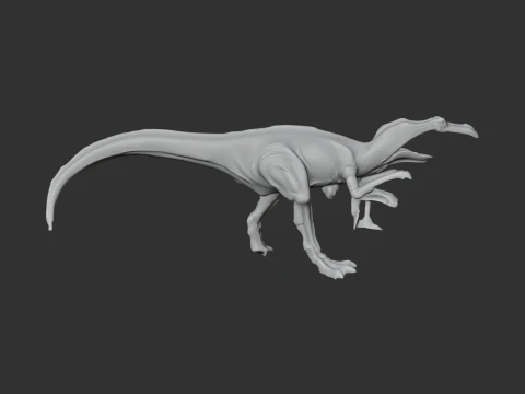 Aliwalia 3D Model
