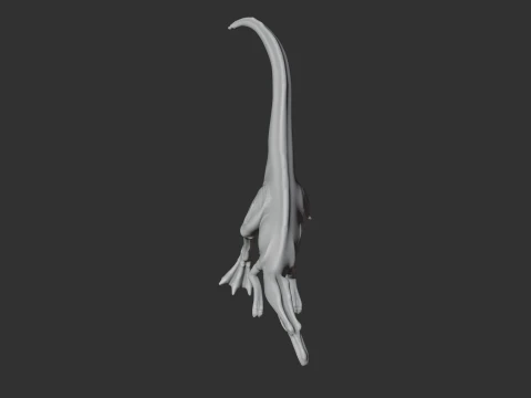 Aliwalia 3D Model