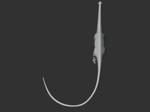 Amazonsaurus 3D Model