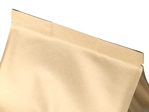 Coffee Bag Pouch Mockup 04 3D Model
