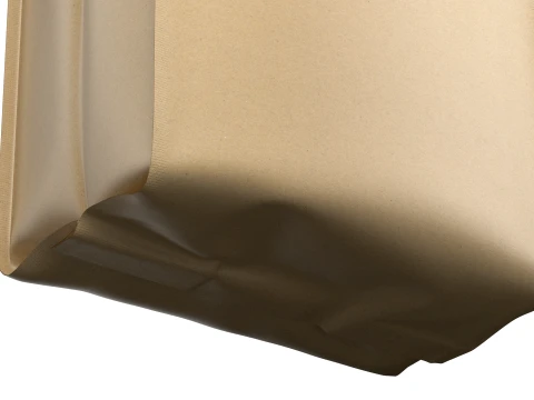 Coffee Bag Pouch Mockup 04 3D Model