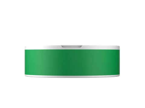 Snus Plastic Box Mockup 01 3D Model