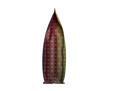 Coffee Bag Mockup 17 3D Model