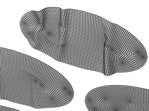 Ellipse Sticker Mockup Set 3D Model